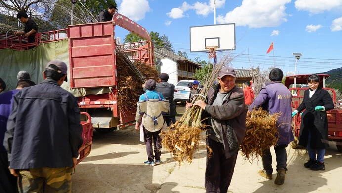小果子撬动大产业 古城区举办海棠果种植技术培训3.jpg