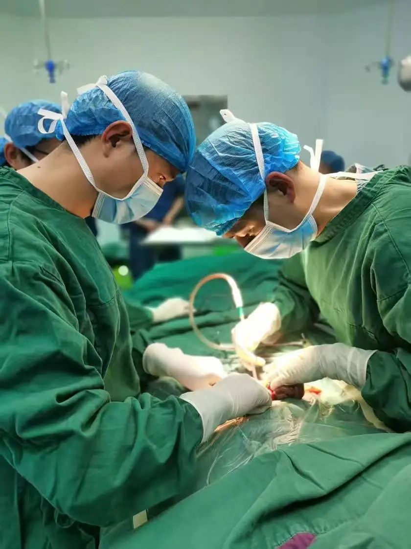 攻坚克难！丽江市人民医院成功开展首例新生儿坏死性小肠结肠炎手术1.jpg