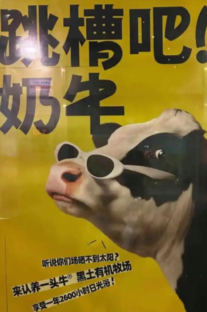 认养一头牛广告惹争议，“致敬” 能否消解质疑？.jpg