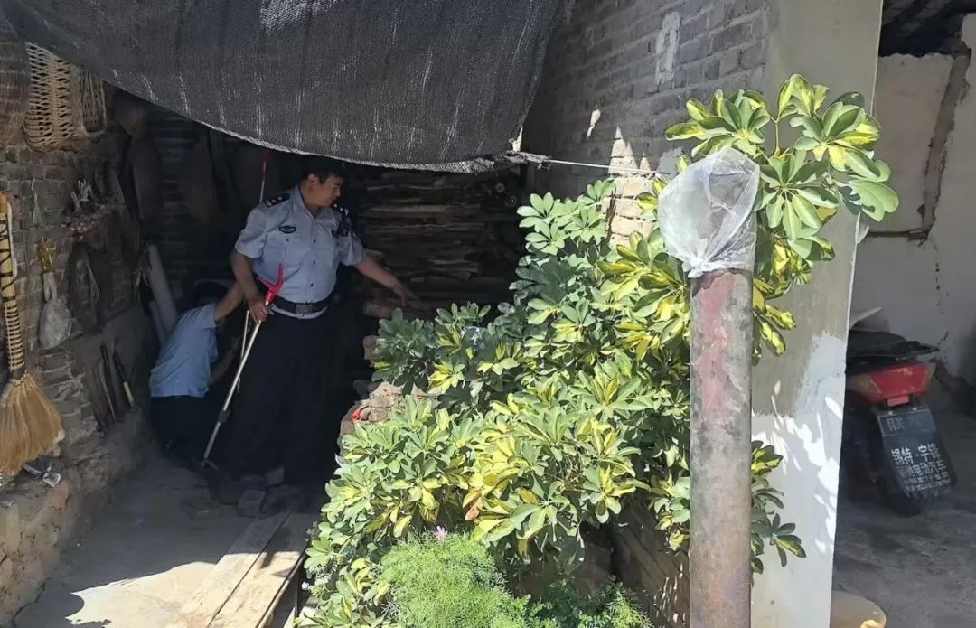 气温回升“蛇出没”  民警化身“捕蛇超人”护民安.jpg