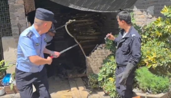 气温回升“蛇出没”  民警化身“捕蛇超人”护民安.png