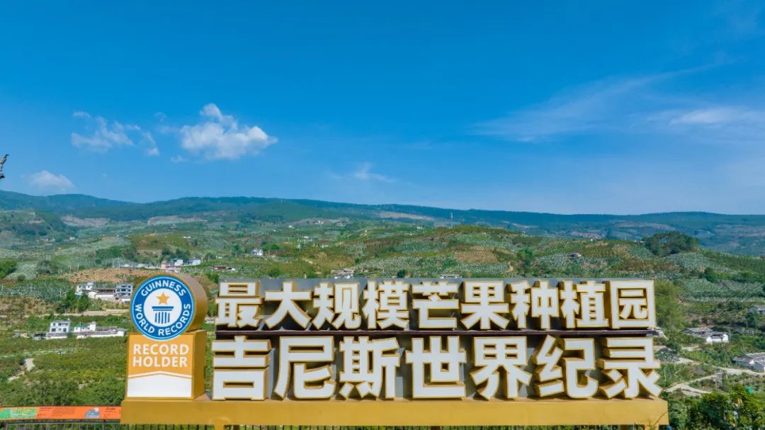 五一打卡新去处！华坪龙头果子山超多精彩活动等你来解锁 (1).jpg