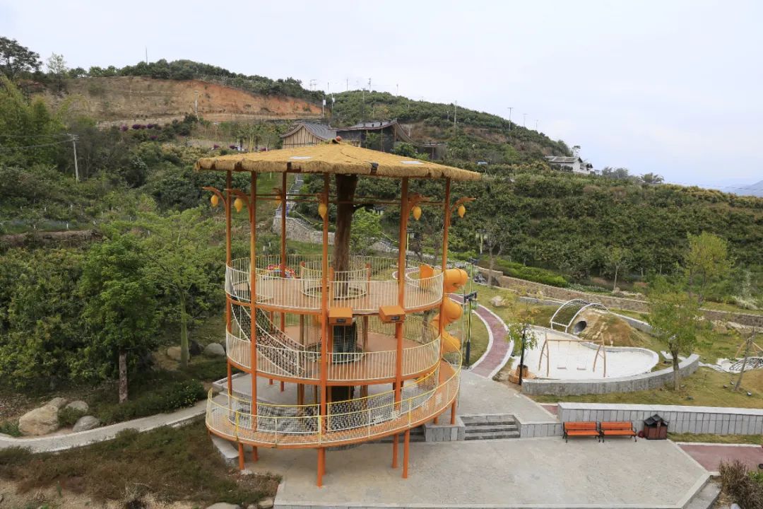 五一打卡新去处！华坪龙头果子山超多精彩活动等你来解锁 (2).jpg