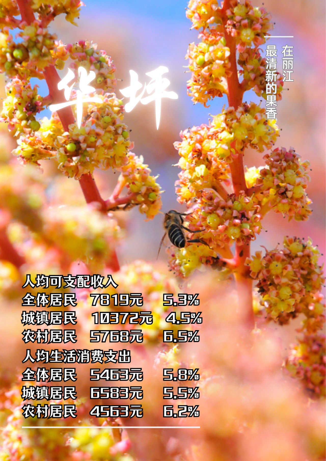 丽江2025年一季度收入“成绩单”出炉 人均可支配收入增长 5.6%4.jpg