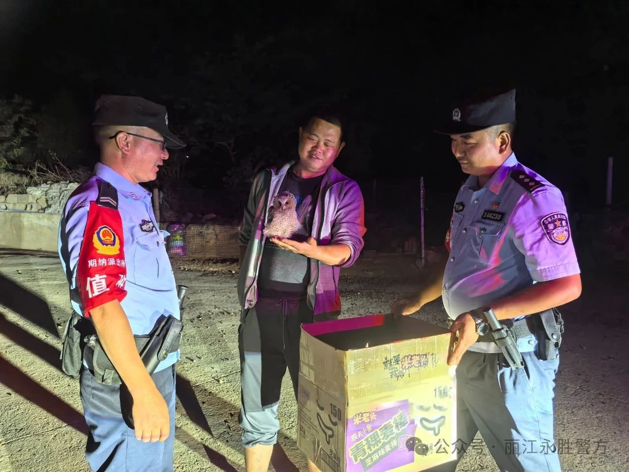 暖心！丽江警方成功救助国家二级保护动物领角鸮.jpg