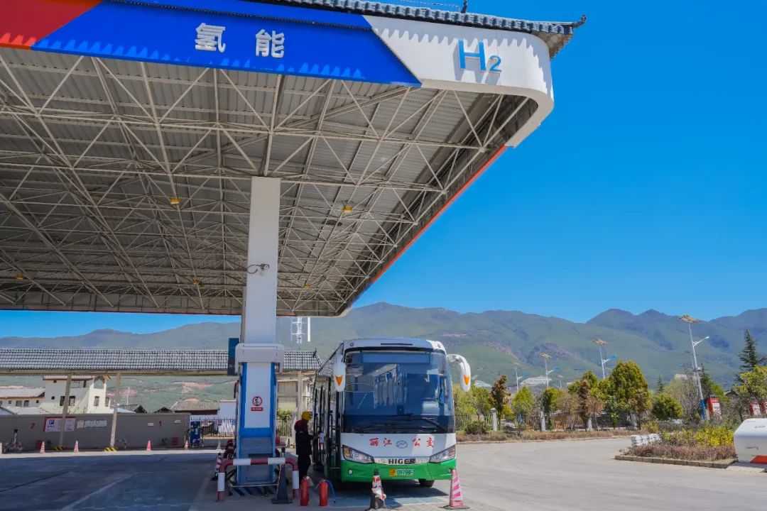 丽江人出门见绿  人均公园绿地面积达16 (5).jpg