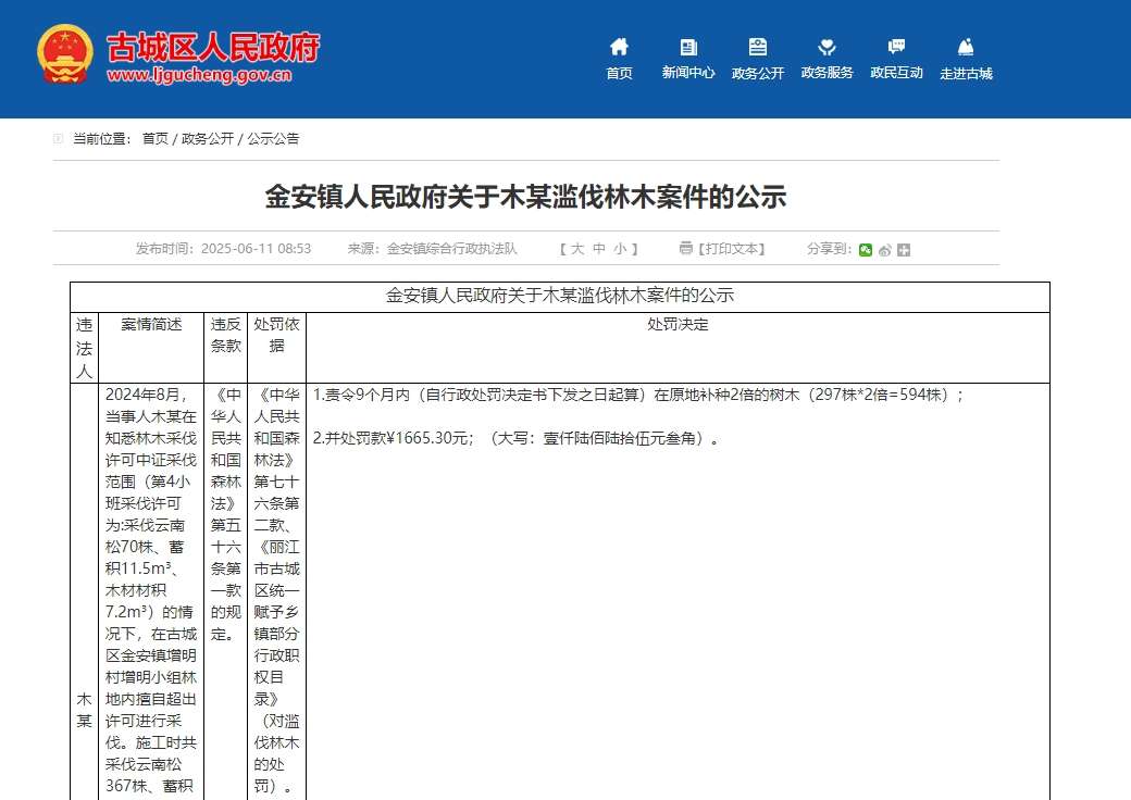砍1补2！丽江这个村民滥伐林木被查处，594棵补种任务安排上了1.jpeg