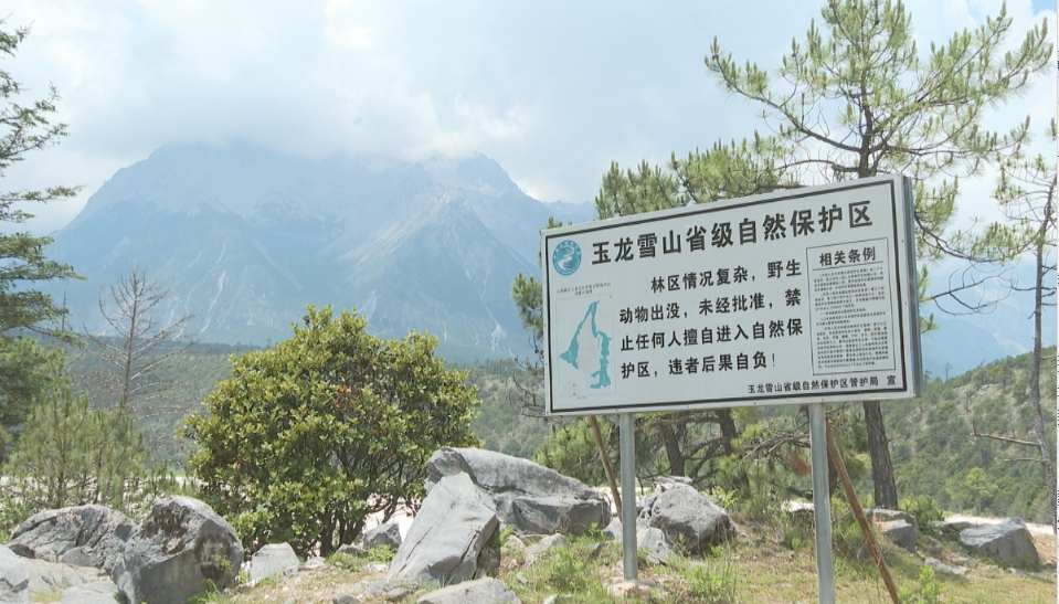 7名违规进入未开放区域“野游”人员获救 今年已发生23起类似事件4.jpeg