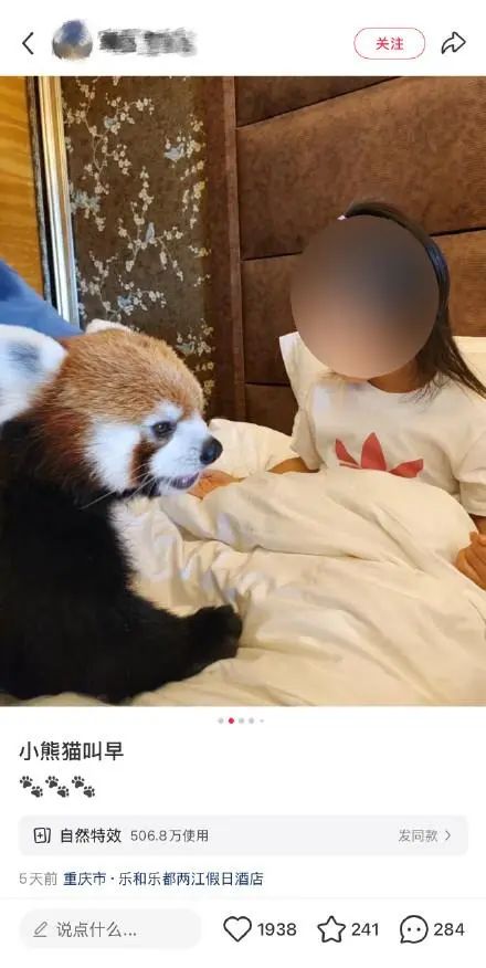 幼童与成年小熊猫同床互动？酒店高价营销遭质疑，官方回应：立即停止！1.jpg