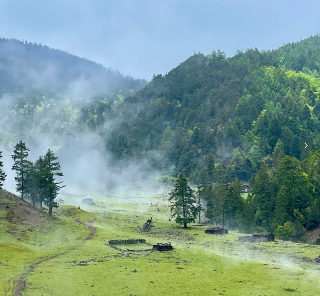 2025年度森林草原防火期正式解除 丽江全面开启常态化防火新征程.png