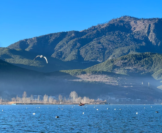 以诗为笔绘宁蒗 第二届泸沽湖诗歌节征稿启动.png