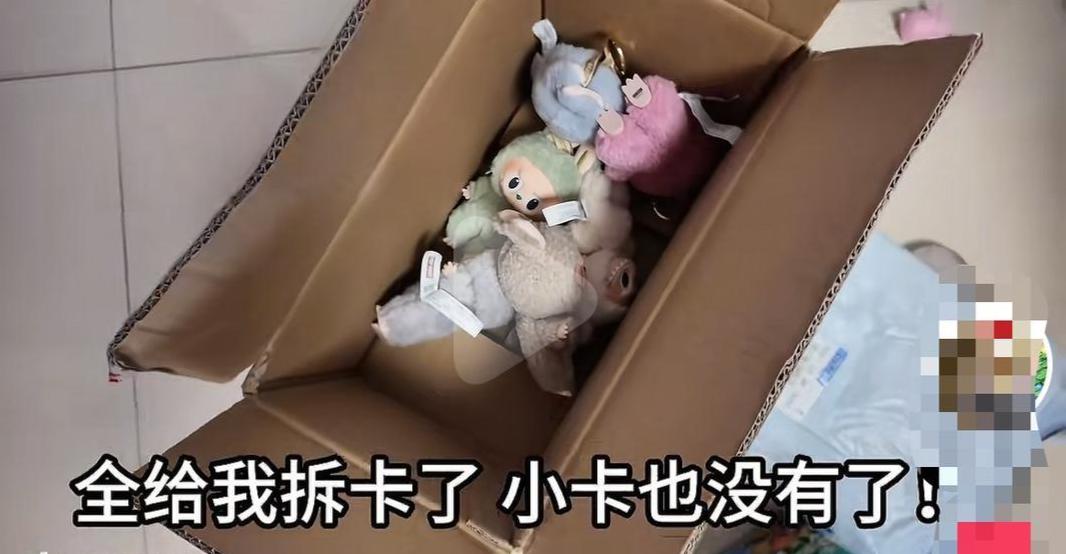 拉布布盲盒快递离奇“开箱”：包装消失，只剩“裸娃”，谁动了手脚？1.jpeg