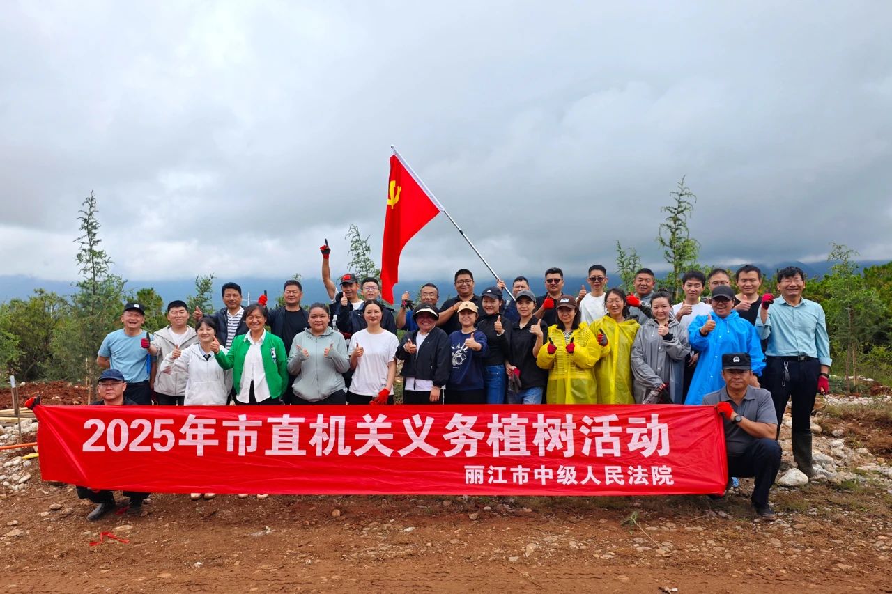 法徽映青绿，雨润雪松新：丽江中院积极投身义务植树活动.jpg