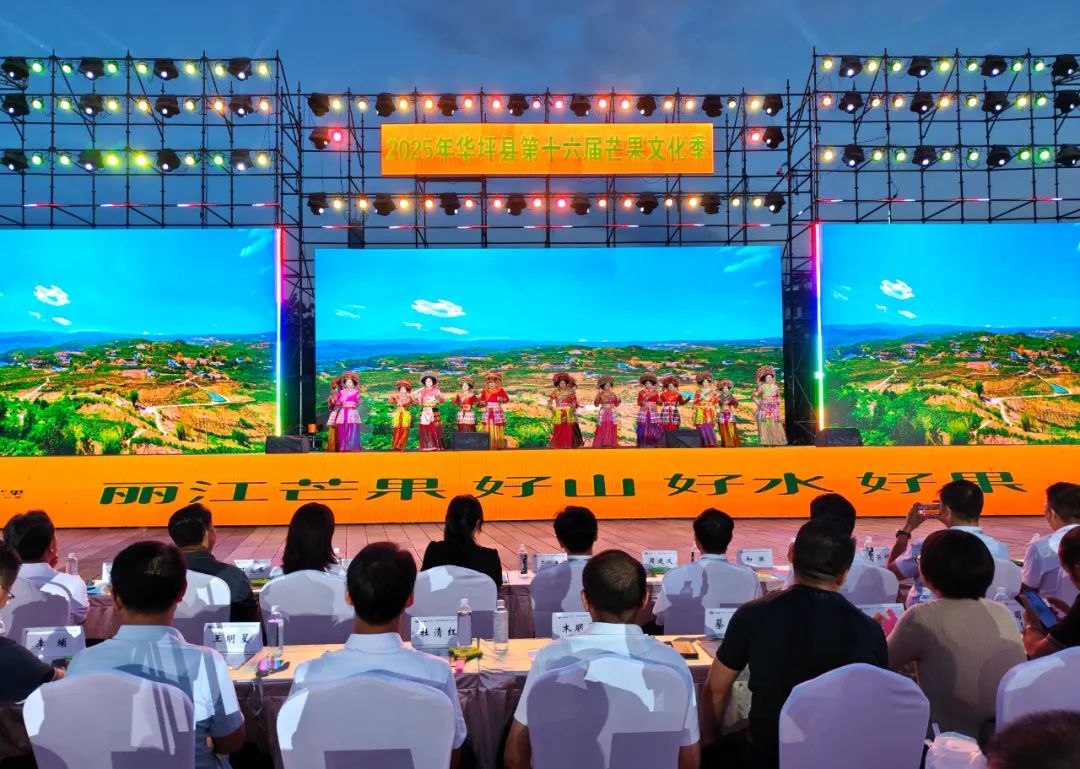 华坪县第十六届芒果文化季启幕 多元活动品芒乡魅力 (2).jpg