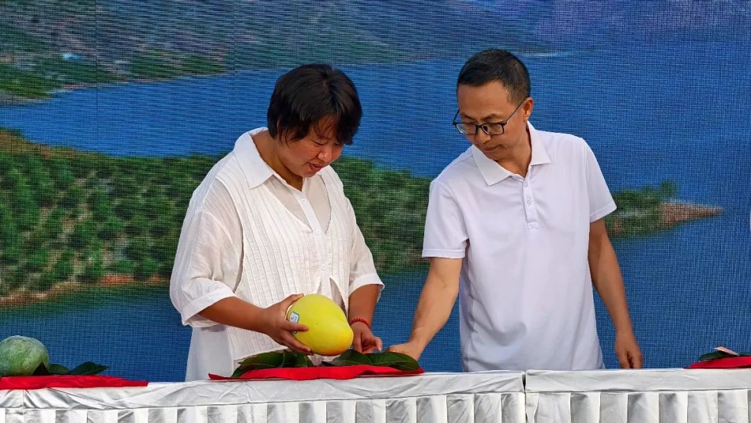 华坪县第十六届芒果文化季：“芒果王” 评选落幕 两品种王者诞生 (1).jpg
