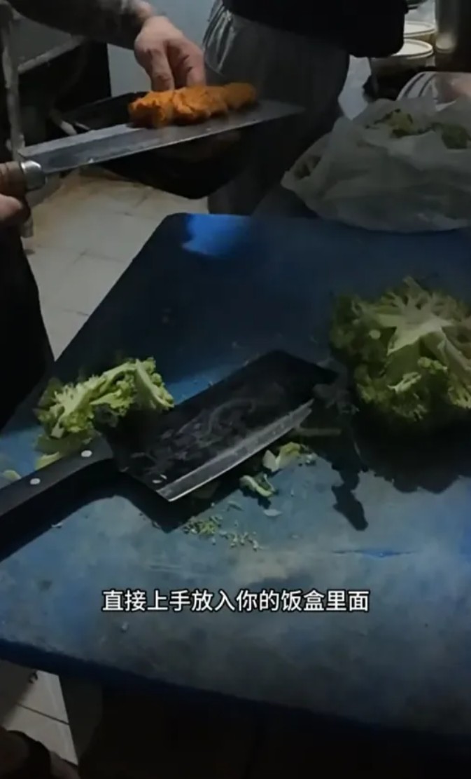 12.8元的日式猪排饭你敢吃吗？暗访上海“共享厨房”：苍蝇乱飞、执照共用，执法部门紧.jpg
