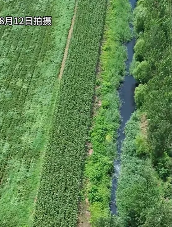 安徽一农田沟渠惊现“黑臭毒水”！农户控诉多年未解决，官方紧急停职调查1.jpg