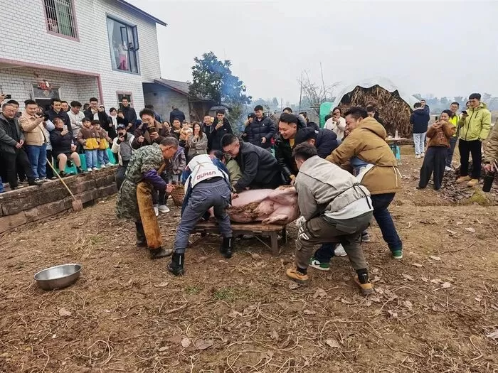 一场“吃席”的全民狂欢：我们奔赴的不是猪，是“断根”后的集体寻根