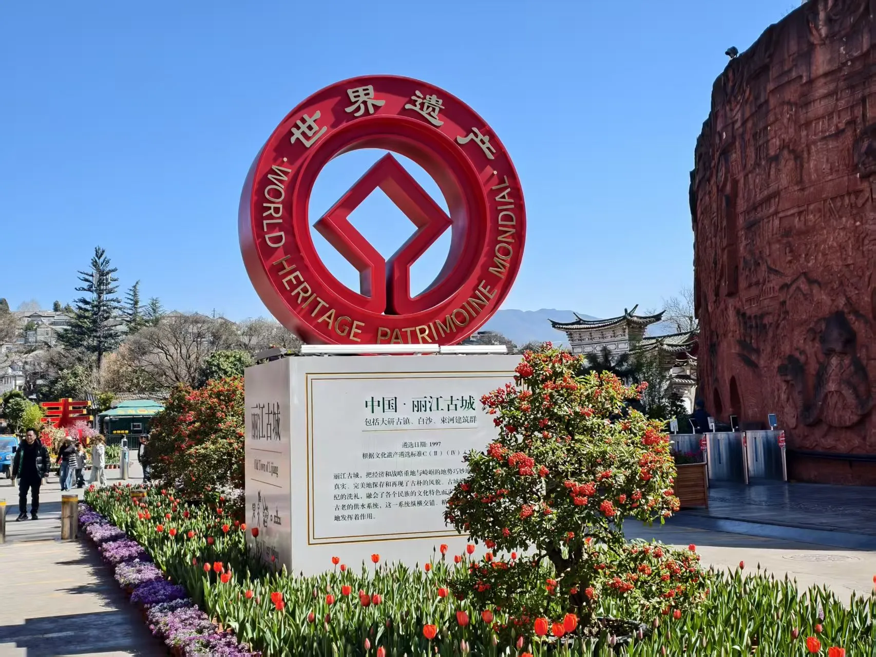 4 万盆鲜花上线！丽江古城春花展定档，春节赏花逛古城超治愈！