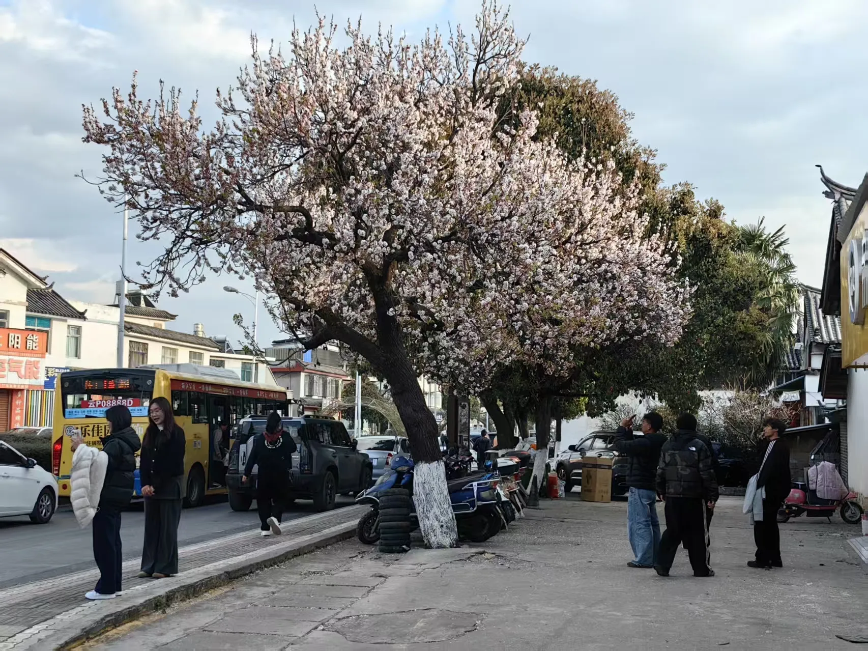 等车变成一种享受！丽江“最美公交车站”，你打卡了吗？