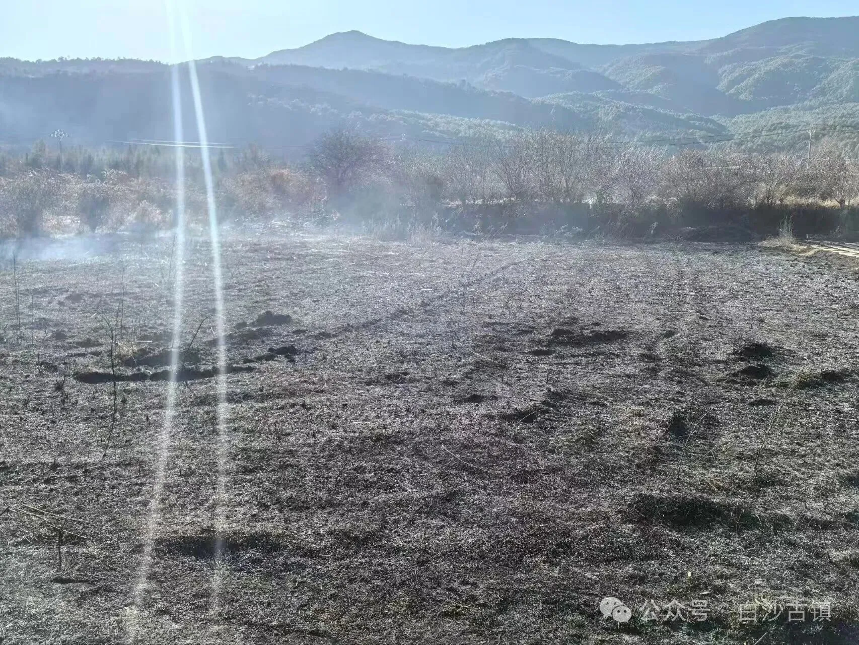 白沙镇通报三起违规野外用火案 三人各被罚300元